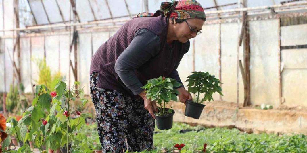 Kadın emeği sokakları süslüyor! 1 milyona yakın çiçek dikimi başladı 4
